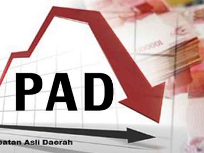 PAD Sulsel Turun Drastis Selama Masa Pandemi Covid-19
