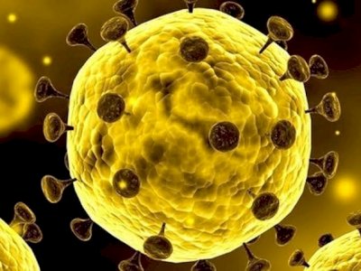 Alat Tes Kilat dari Swiss Tiba, Bisa Tes 10 ribu Orang Perhari