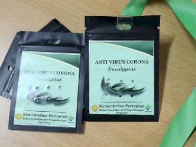 Kementan Klaim Telah Temukan Formula Penangkal Covid-19 dari Kayu Putih.