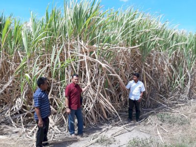 Saat yang Lain PHK, JBM Bombana Justru Pekerjakan Ribuan Warga Lokal