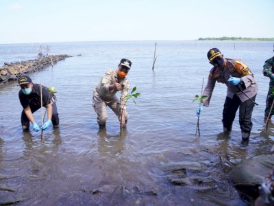 Wagub Sulsel Gerakkan Penanaman Mangrove Di Takalar.