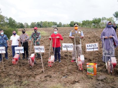 Wagub Sulsel Hadiri Launching Gerakan Korporasi Penanaman Jagung Sidrap