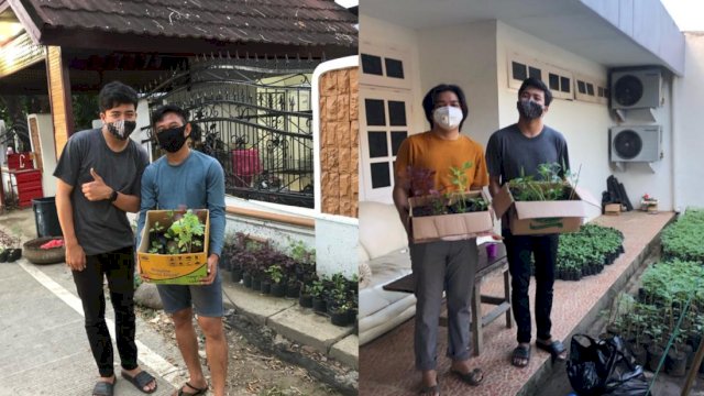 Dapat Bantuan Bibit Tanaman dari Wagub Sulsel, Pemuda Makassar ini Akui Sangat Baik, Merangsang Masyarakat Bertanam
