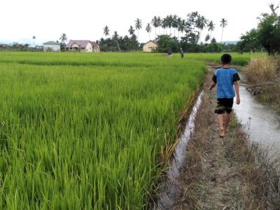 Persulit Pelayanan, Petani Desa Dongko Minta Pemkab Evaluasi BPP Lempe