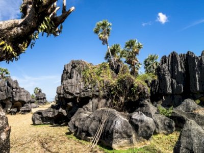 Geopark Maros Menuju Standar Parawisata Dunia