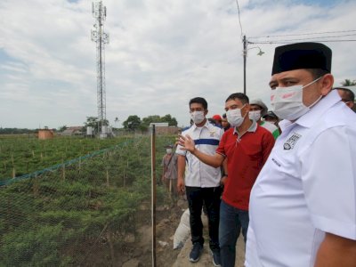 Temui Petani di Barombong, Appi: Nah Ini yang Benar Tanam Cabai, Bukan di Lorong