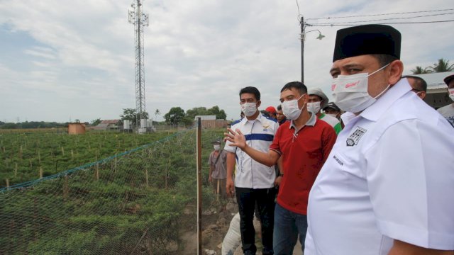 Temui Petani di Barombong, Appi: Nah Ini yang Benar Tanam Cabai, Bukan di Lorong