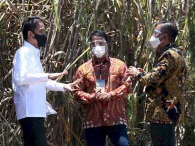 Presiden Jokowi Resmikan Pabrik Gula di Bombana<br>