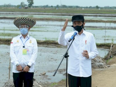 Didampingi Mentan SYL, Presiden Kunjungi Food Estate Kalteng