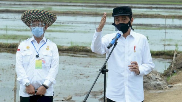 Didampingi Mentan SYL, Presiden Kunjungi Food Estate Kalteng