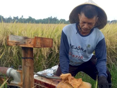 Kisah Inspiratif Bripka Hamzah, Polisi yang Nyambi jadi Petani