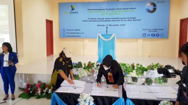 Dorong Kesejahteraan Petani Nilam, Bank Sulselbar Gandeng PT. Givaudan