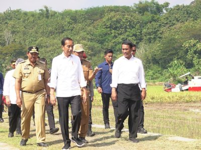 Presiden Jokowi Didampingi Mentan Andi Amran Tinjau Program Pompanisasi di Klaten