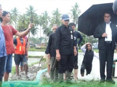 Di Tengah Guyuran Hujan, Mentan Amran Turun Langsung Tinjau Lokasi Kunker Presiden Jokowi di Bone