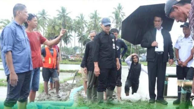 Di Tengah Guyuran Hujan, Mentan Amran Turun Langsung Tinjau Lokasi Kunker Presiden Jokowi di Bone