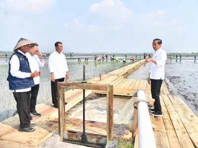 Presiden Didampingi Mentan Amran Akselerasi Pompanisasi di Lampung