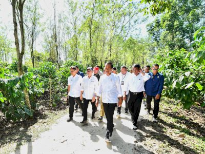 Presiden dan Mentan Amran di Lampung Barat, Pacu Produksi Kopi dan Peningkatan Kesejahteraan Petani