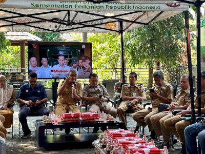 DTPHBun Sulsel Dorong Kemandirian Benih, Sektor Tanaman Pangan, Hortikultura dan Perkebunan