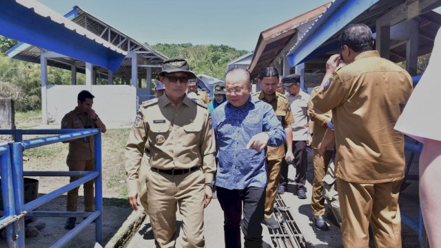 Pj Gubernur Sulsel Prof Zudan Kunjungi Pusat Pembibitan Ternak Unggulan di Pucak Maros