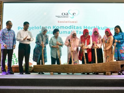 Dukungan Kementan Sejalan dengan Upaya Pemprov Sulsel Penuhi Kebutuhan Pangan IKN, Prof Zudan: Sesuai Arahan Presiden