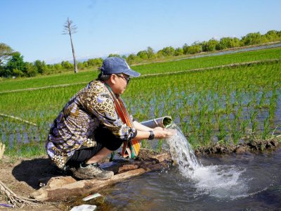 Produksi Naik Bulan Agustus, September dan Oktober, Program Pompanisasi Berhasil