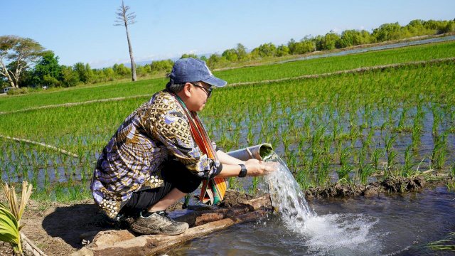 Produksi Naik Bulan Agustus, September dan Oktober, Program Pompanisasi Berhasil