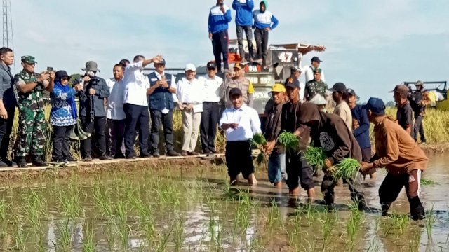 Mentan Amran Panen dan Tanam Padi di Gowa, Dorong Modernisasi Pertanian
