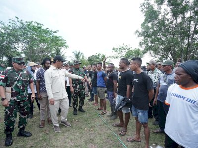 Petani Milenial Merauke Raup Pendapatan 15-20 Juta Per Bulan