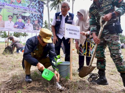 Program Sulsel Menanam Telah Tanam 12,5 Juta Lebih Pohon di Hutan Rakyat, Daerah Aliran Sungai dan Kebun Bibit Rakyat