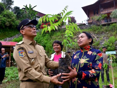 Dengan Gerakan Sulsel Menanam, 6,6 Juta Pohon Telah Ditanam di Sulsel di Era Prof Zudan Pj Gubernur