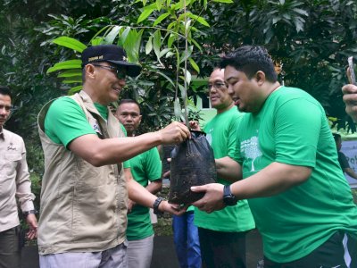 Di Bawah Kepemimpinan Prof Zudan, 6,5 Juta Bibit Kopi, Kakao, Kelapa, Durian, Sukun, Alpukat Ditanam di Sulsel Bangkitkan Hortikultura Unggul