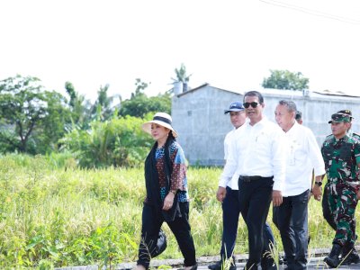 Ketua Komisi IV DPR RI Apresiasi Kinerja Mentan Amran Atasi Banjir Kabupaten Bantul Secara Cepat