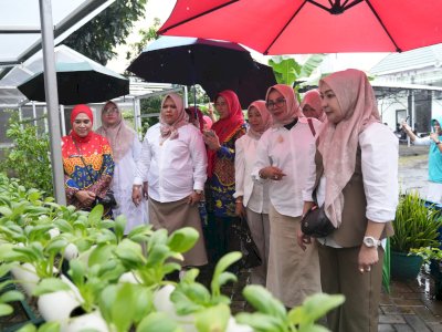 TP PKK Sulsel Terima Kunjungan PKK Maluku Utara, Perkuat Sinergi Pemberdayaan Keluarga