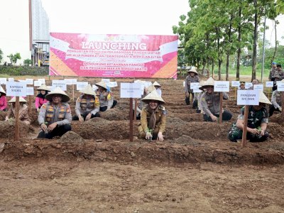 Wagub Sulsel Fatmawati Rusdi Apresiasi Program Pangan Lestari Polda Sulsel, Sinergi Sukseskan Asta Cita Presiden Prabowo