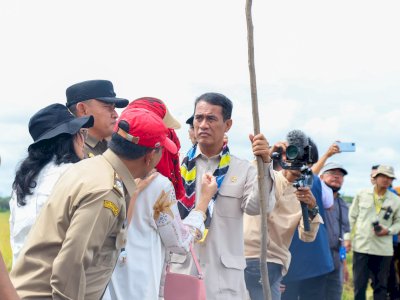 Mentan Amran Tegaskan Bulog Wajib Serap Gabah Petani Any Quality