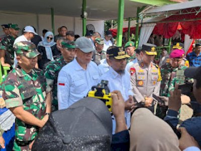 Dipimpin Gubernur, Kapolda Sulsel dan Pangdam, Panen Raya dan Tanam Padi di Barebbo Kabupaten Bone