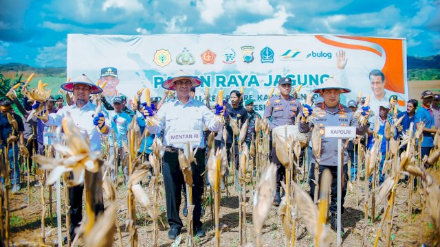Di Bone, Mentan Amran Sampaikan Kabar Gembira, Petani Jagung Dapat Dukungan 5 Triliun dari Presiden