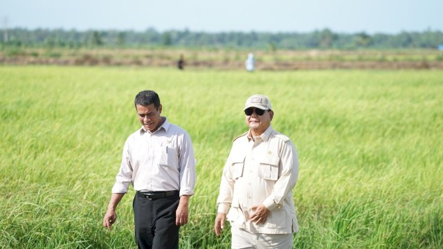 Terima Kasih Petani Indonesia, Cadangan Beras RI Tembus 4 Juta Ton