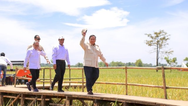Presiden Parbowo Subianto berjalan di atas jembatan kayu di area persawahan didampingi Menteri Pertanian Amran Sulaiman. (Foto: Ist)