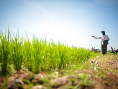 RAPBN 2026: Pemerintah Gelontorkan Rp164,4 Triliun untuk Perkuat Ketahanan Pangan Nasional