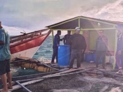 Pembelian Ikan Hidup Terhenti, Nelayan Takabonerate Minta Pemerintah Aturan Ditegakkan Secara Adil