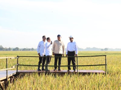 Ekspor Pertanian Januari-Agustus 2025 Melonjak 38,25 Persen, Bukti Ketangguhan Pangan Nasional