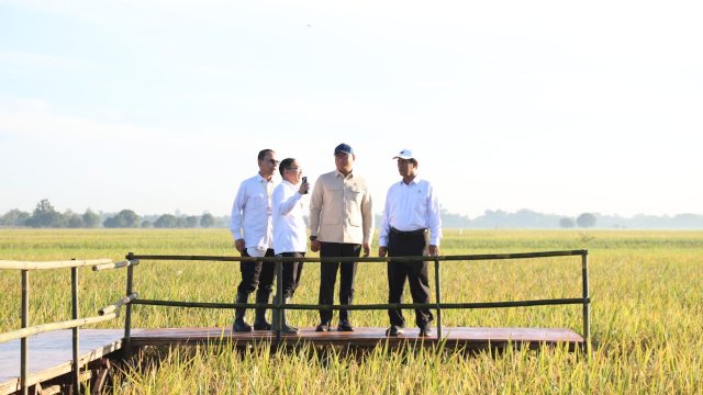 Menteri Pertanian (Mentan) Andi Amran Sulaiman.