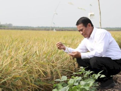 “Kerja Keras Tak Pernah Ingkar” Kepemimpinan Andi Amran Sulaiman Menuntun Indonesia Menuju Swasembada Beras