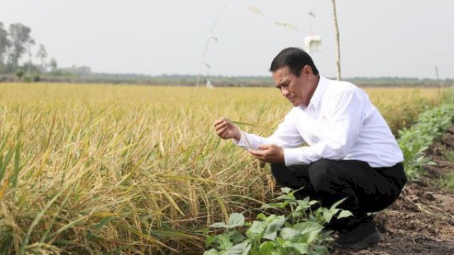 Andi Amran Sulaiman (Menteri pertanian RI)