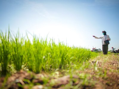 Setahun Pemerintahan Prabowo, DPR Sebut Kebijakan Pangan Arahnya Tepat Sejahterakan Petani