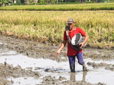 Perkuat Tata Kelola Pupuk 2026, Kementan Pastikan Sudah Dimulai Dari Aspek Perencanaan