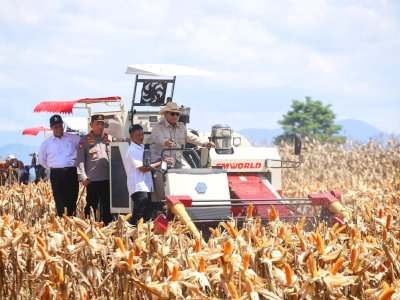 Produksi Jagung Nasional Meningkat 9,34 Persen Sepanjang 2025*