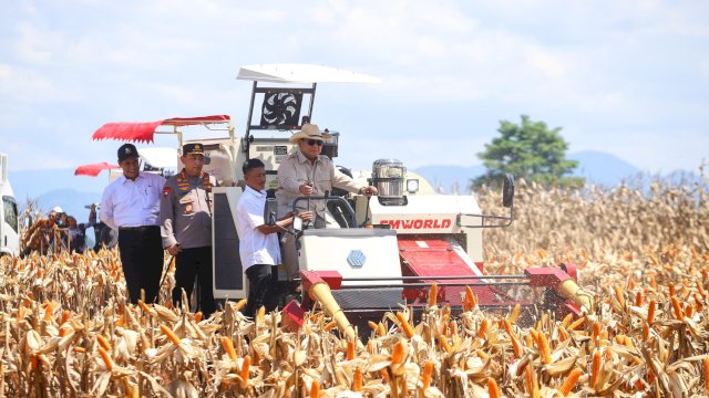 Produksi jagung nasional sepanjang Januari hingga Desember 2025