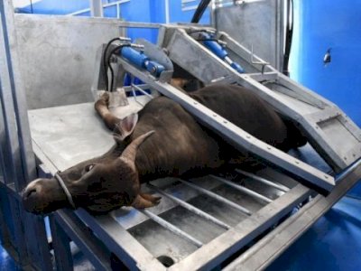 DPRD Makassar Soroti Kinerja Mandek PD RPH, Usulkan Transformasi Jadi Perseroda Pangan